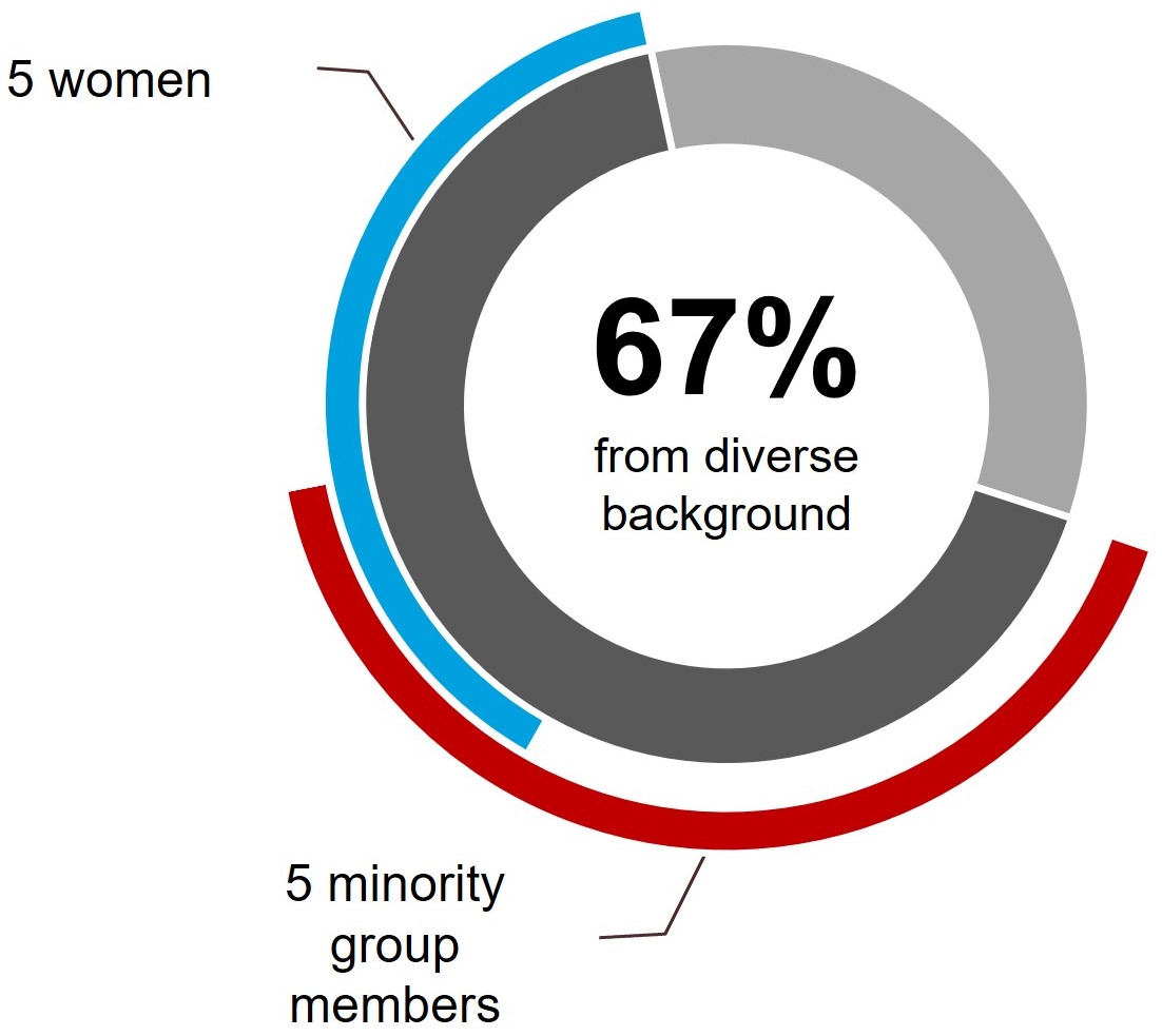 Director Diversity Graphic.jpg