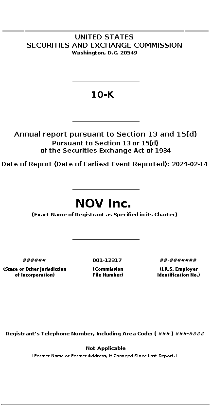 NOV : 10-K Annual report pursuant to Section 13 and 15(d)