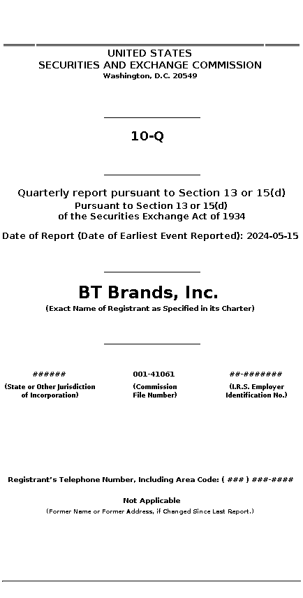 BTBD : 10-Q Quarterly report pursuant to Section 13 or 15(d)